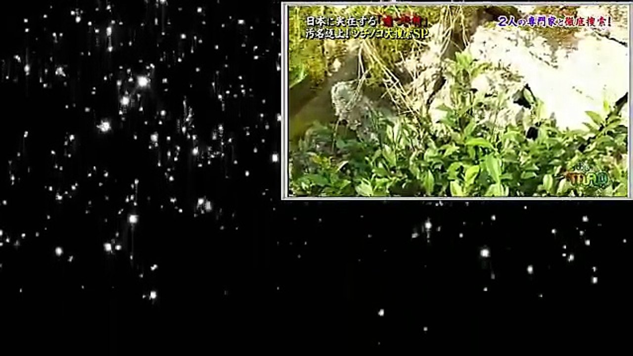 おじゃMAP！！2017年8月9日-ni9A75Kb-S8