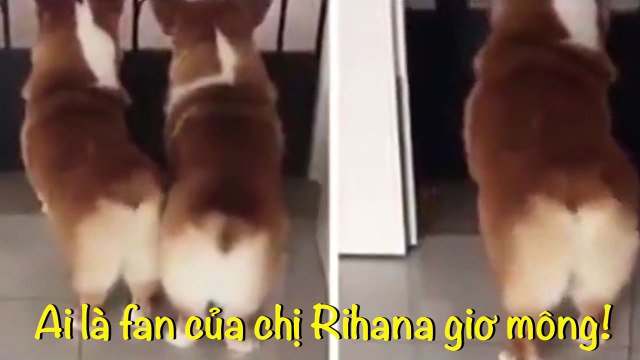 Khoảnh khắc đáng yêu của Boss khi lên sàn