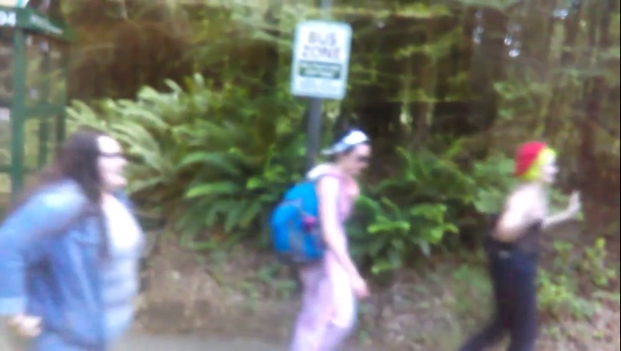 LORD OF THE FLIES: Video of Evergreen State College SJWs In Pack With Bats Harassing Stude