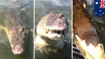 15-foot monster saltie tries to take bite out of Aussie man