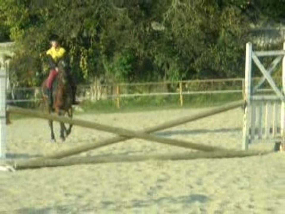 Moi et Mélo ( spa , double , oxer , croisillons )