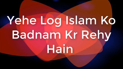 Yehe Log Islam Ko Badnam Kr Rehy Hain