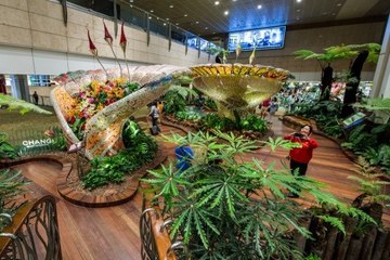 Les 5 plus beaux aéroports du monde