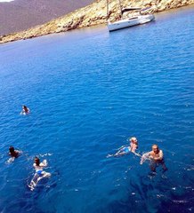 Orak Adası'nda Denize Girenlere Caretta Caretta Saldırısı