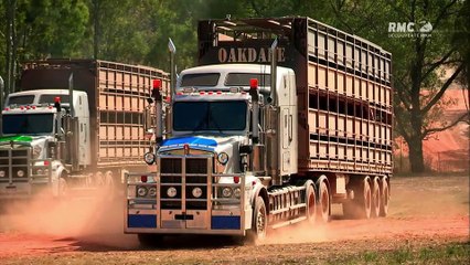 Les routes de l'enfer : bush australien