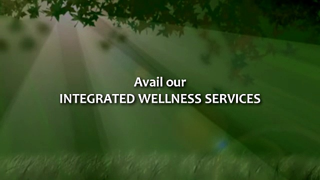 Holistic Alcohol Treatment centers – Casamorphosholistic.com