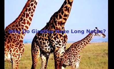 10 easy question we still don't know the answer