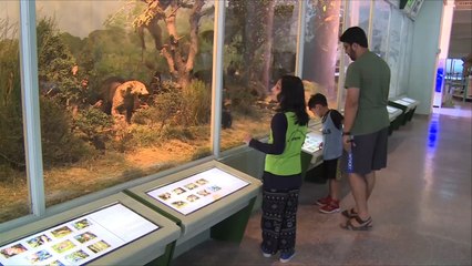 هذا الصباح- متحف التاريخ الطبيعي في باكستان