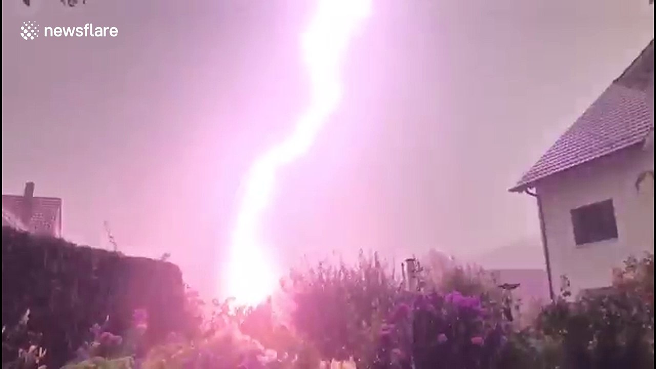 Powerful lighting strikes tree