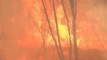 Incendies : le Portugal de nouveau ravagé par les flammes