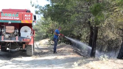 Malkara'da Orman Yangını - Yangın Kontrol Altına Alındı