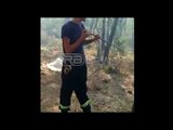 Ora News - Donin të bënin qymyr, djemtë djegin 15 ha pyje mbi tunelin e Krrabës