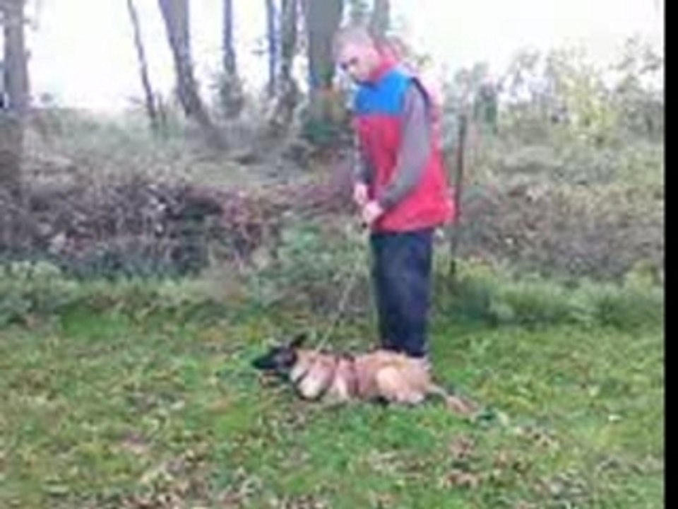 VID005