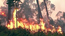 Waldbrände in Portugal weitgehend unter Kontrolle