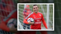 Arsenal will look to sign a new Santi Cazorla this summer Ray Parlour