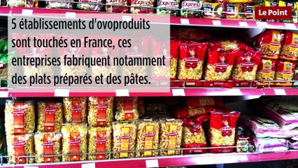 Crise des œufs contaminés : 250 000 œufs importés en France