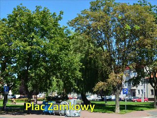 Filmik Konin Kamienica