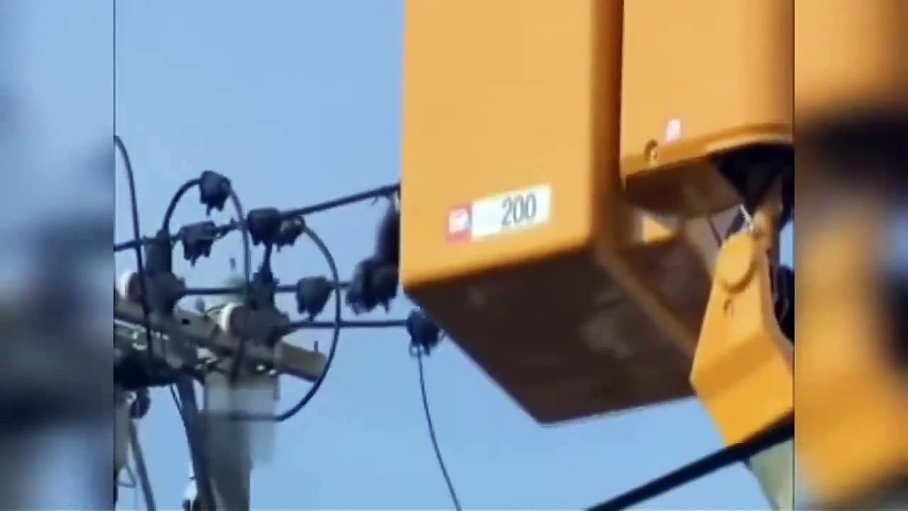 بجلی کی تاروں پر لٹکتے بن مانس کو آخرکار ریسکیو...