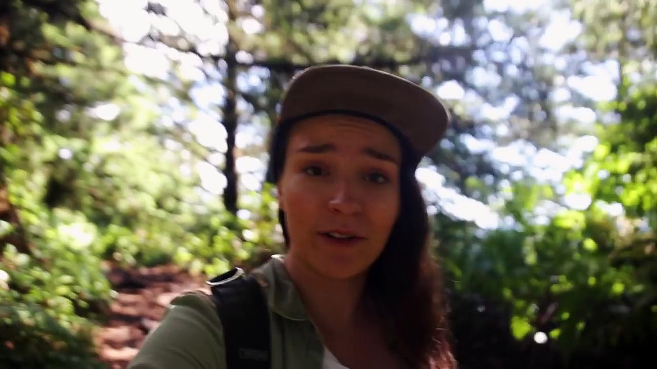 An Alternative Travel Guide!