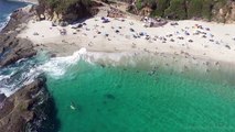 Une baleine nage près d'une plage en Californie