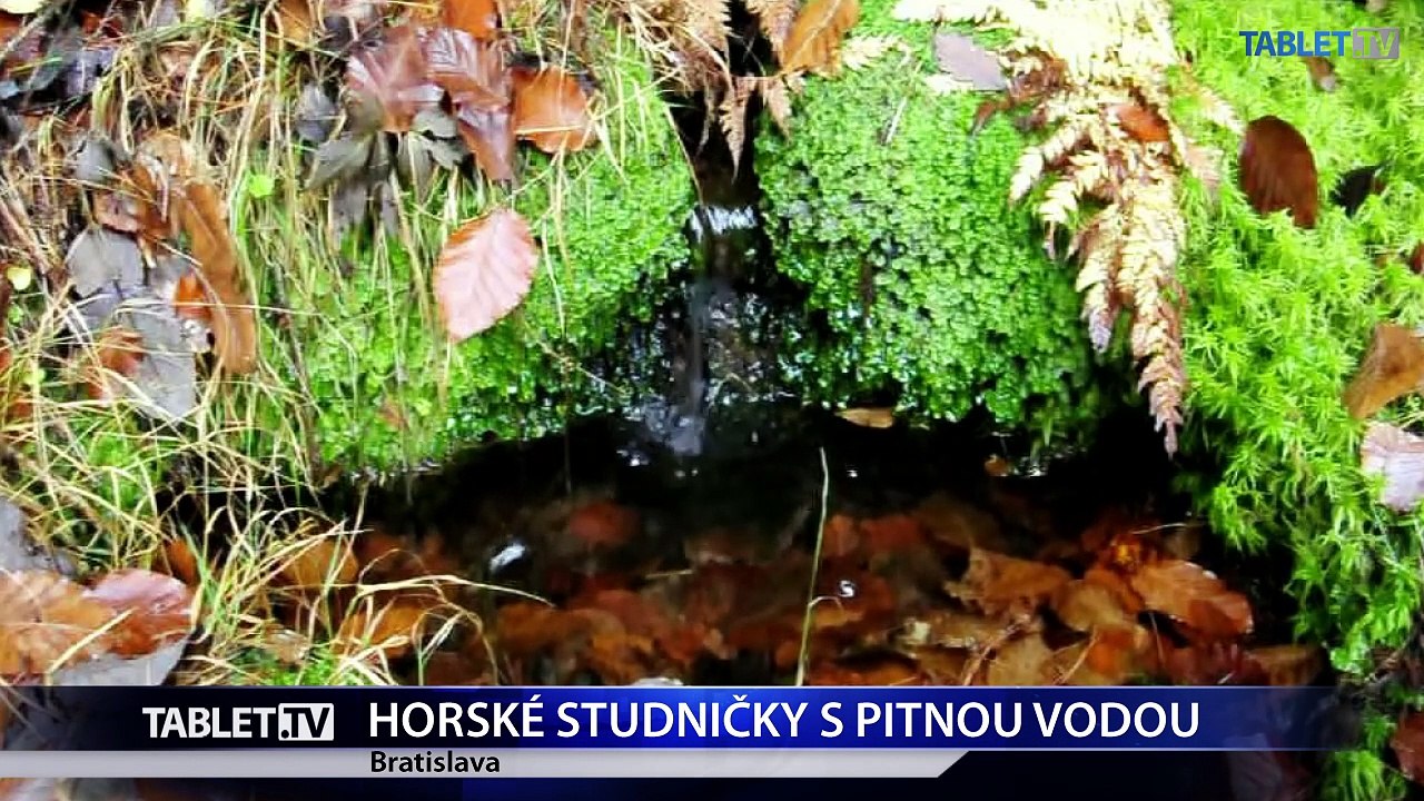 Horská studnička nie je zárukou kvalitnej vody, nie vždy je pitná