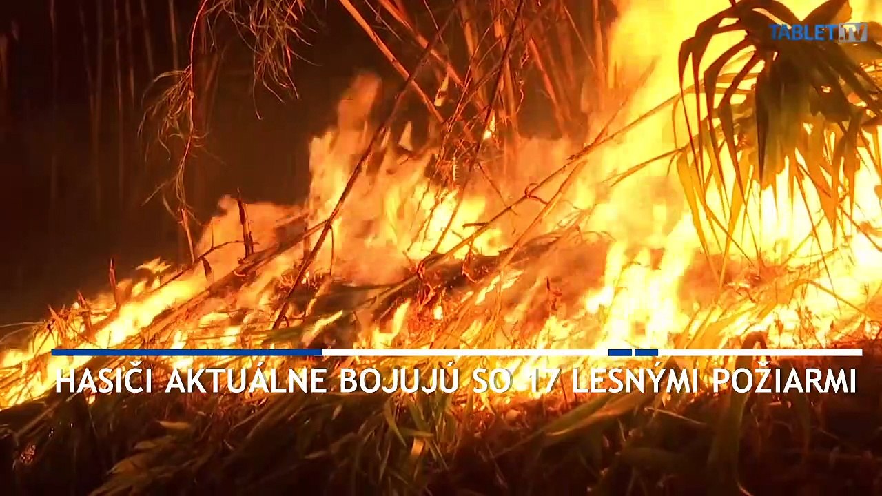Suchý vietor a vysoké horúčavy obnovili lesné požiare v Portugalsku