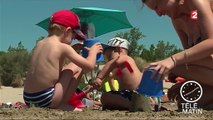Vacances : les chiens désormais acceptés sur une plage de la Grande-Motte