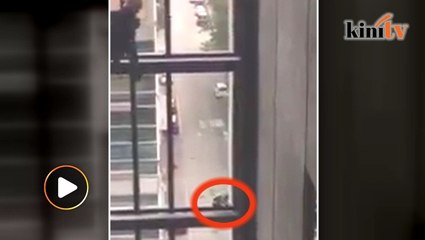 Firefighters rescue cat from ledge in mall at Taman Melawati