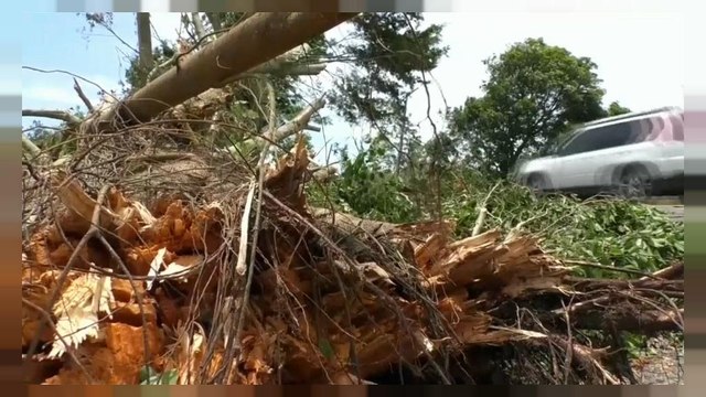 La tormenta tropical Franklin provoca fuertes lluvias