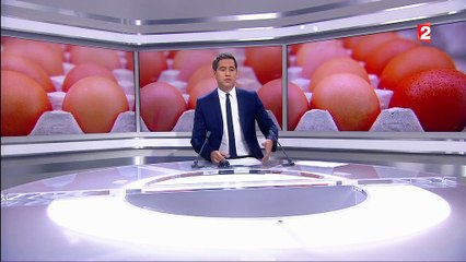 Oeufs contaminés : un rapport se veut rassurant sur les conséquences sur l'homme