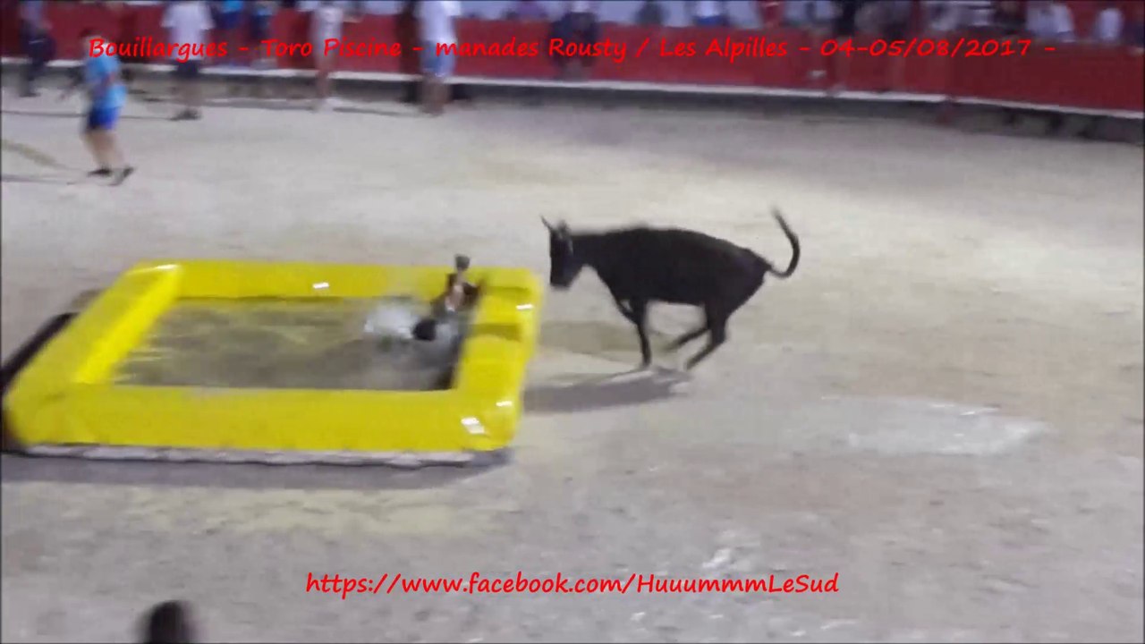 Bouillargues-Toro piscine-Rousty/Les Alpilles-04-05/08/2017