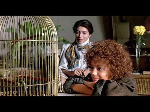 Rodzinka z przypadku online cały film HD lektor PL (link w opisie)