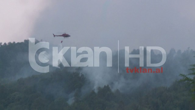 19 vatra zjarri në të gjithë vendin