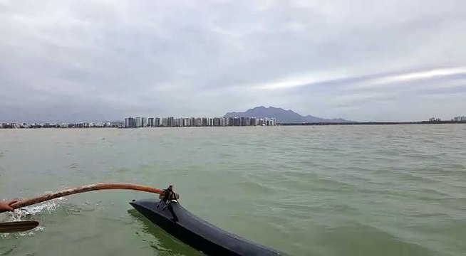 Golfinhos são filmados na Praia de Camburi