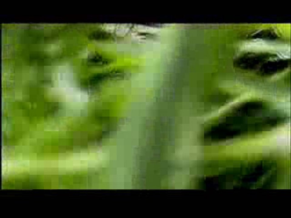 Diseasemoment