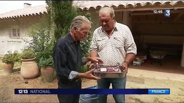 Gastronomie : à la découverte du taureau de Camargue