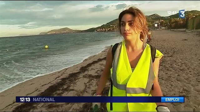 Jobs d'été : des saisonniers pour nettoyer les plages