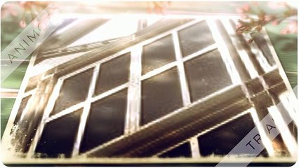 Professional Window Tinting