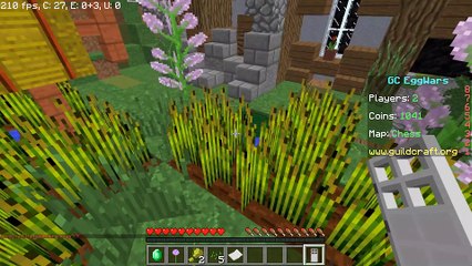 Eggwars Bug