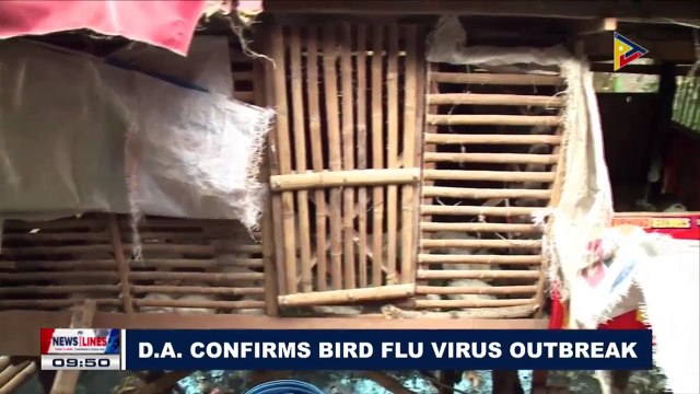 Department of Agriculture confirms Bird Flu Virus outbreak