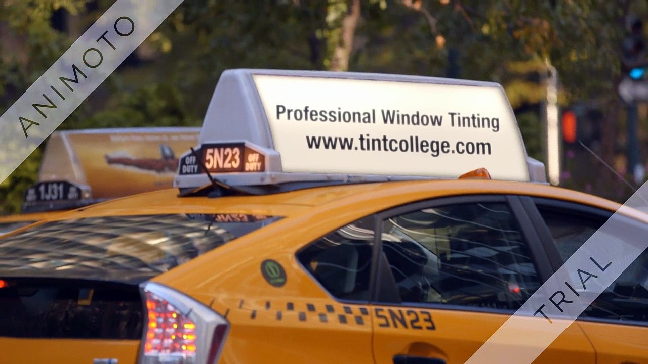Local Window Tint Schools