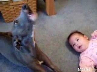 Ne pleure pas ! Regarde comme je sais chanter : wooooooo !