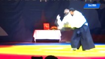 Actual (...and fat) Steven Seagal Aikido demonstration (Moscow 2015).
