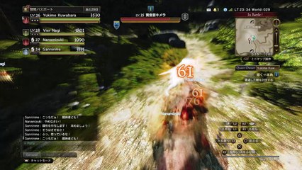 ドラゴンズドグマ オンライン　lv35賞金首キメラ
