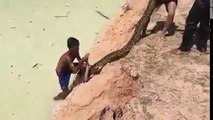 Brave child's​ catch a very big snake...