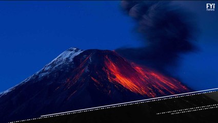 The Next Mass Extinction