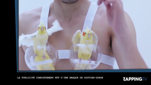 La pub japonaise complètement WTF qui ne va pas plaire à Brigitte Bardot (Vidéo)