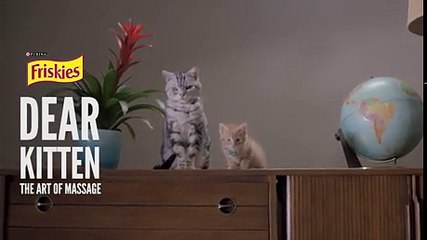 The art of massage funny