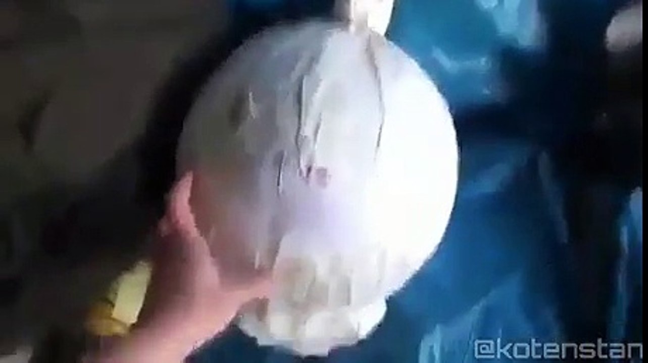 Wait for it funny