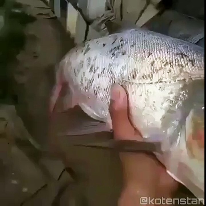 What the fu-k- funny